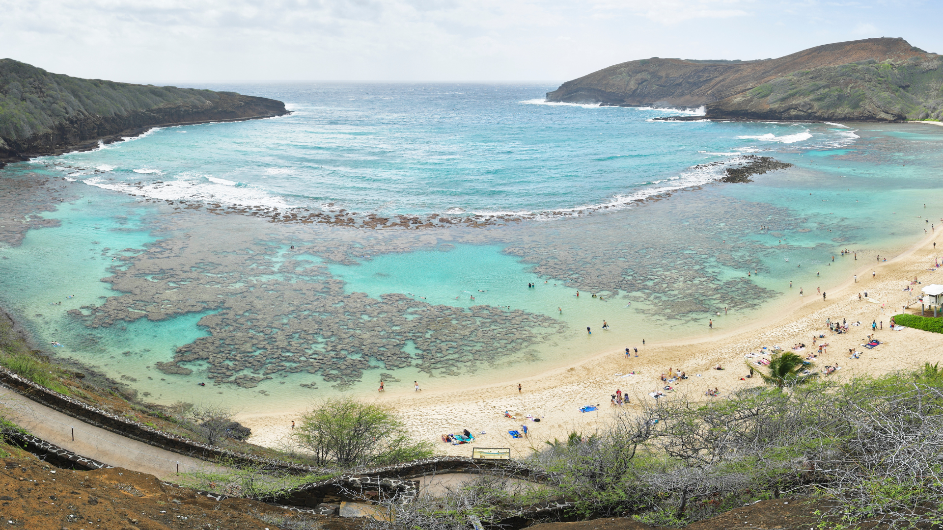 Episode 7 Of Our Ongoing Series On Coral Restoration At Hanauma Bay