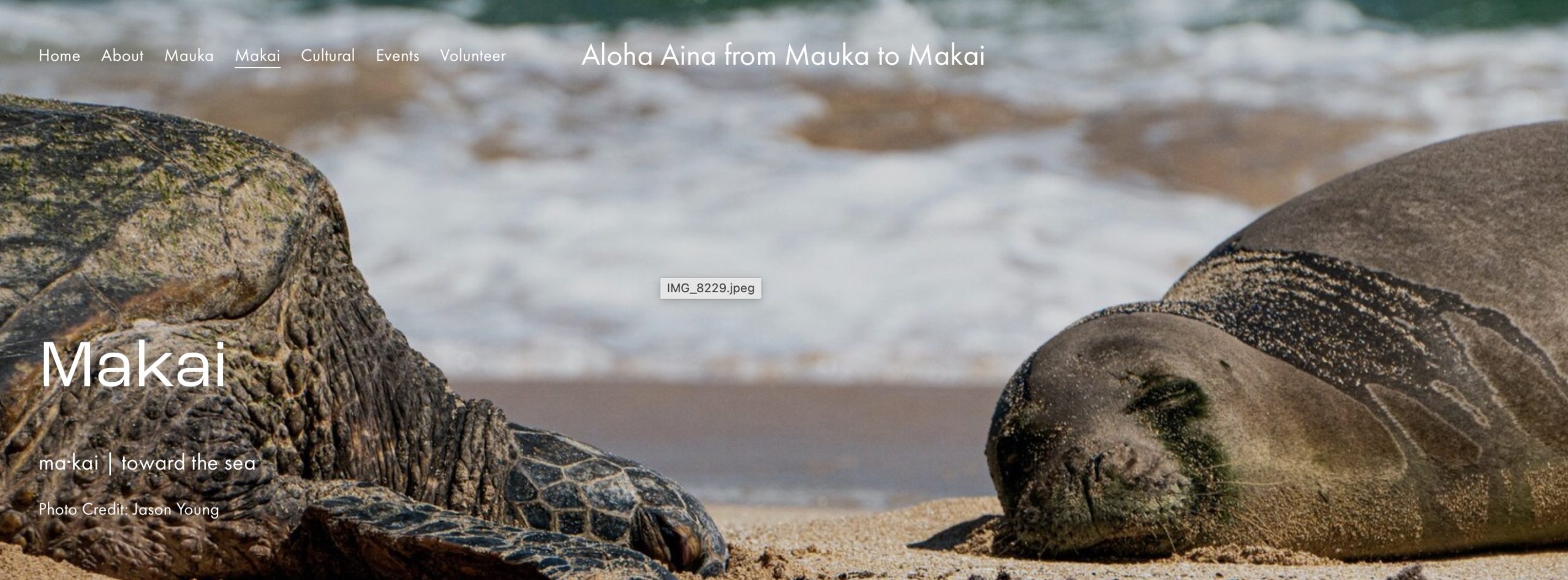 Aloha Aina From Mauka To Makai