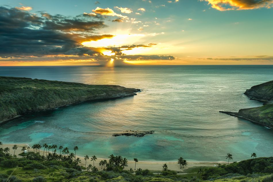 How Pandemic-Related Closures Allowed Oahu’s Hanauma Bay to Recover
