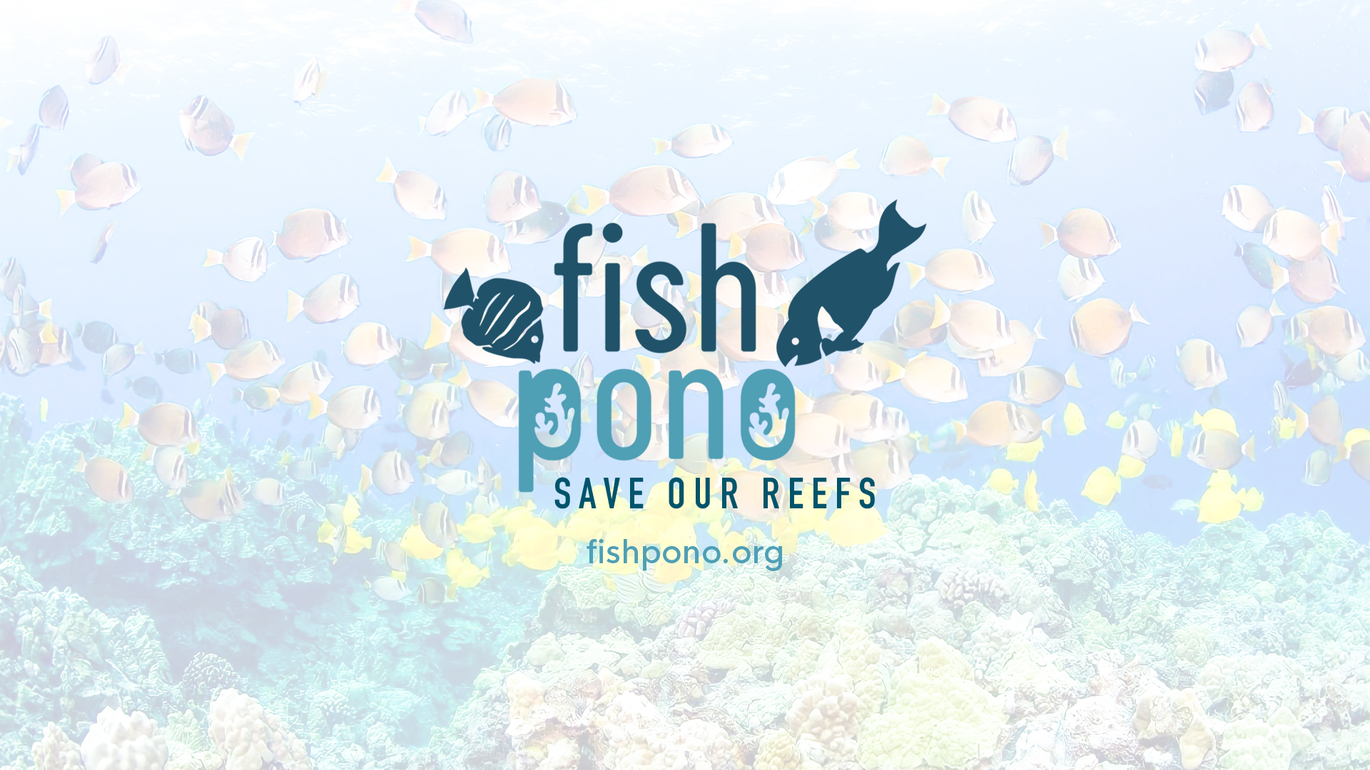 Join the Fish Pono – Save our Reefs Movement!