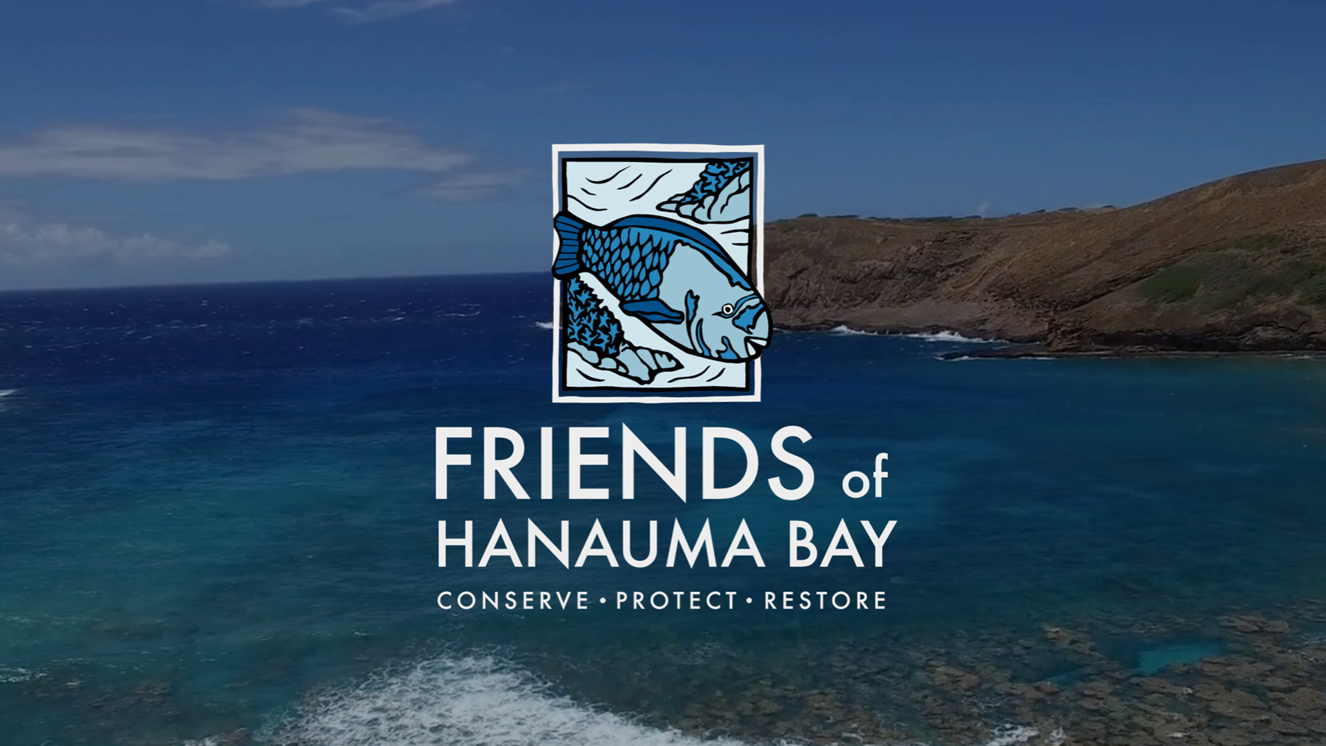 Friends of Hanauma Bay Rebranding Update
