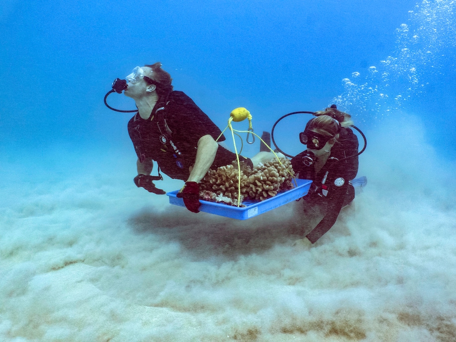 Locals are working to restore coral reefs in beloved travel destinations. You can help.
